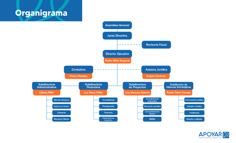 ORGANIGRAMA – Apoyar ONG